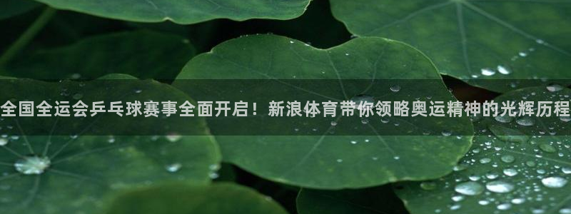 9255tv直播无插件nba