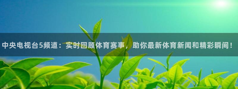 9255tv直播nba在线直播