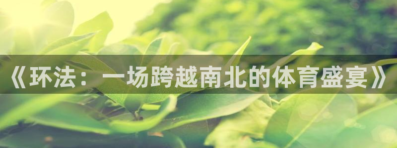 9255tv直播nba在线观看
