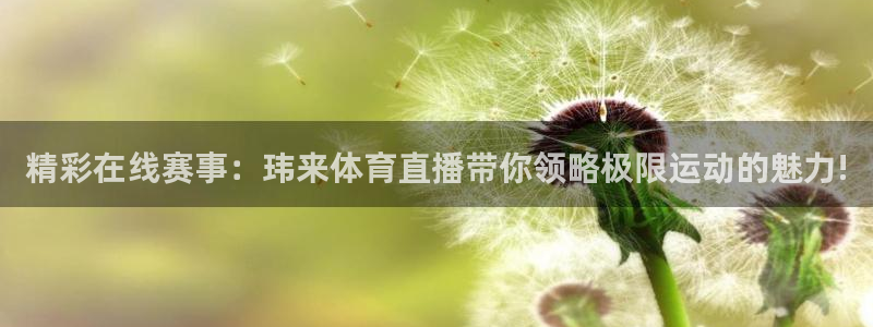 9255tv直播nba在线直播：精彩在线赛事：玮来体育直播带你领略极限运动的魅力!