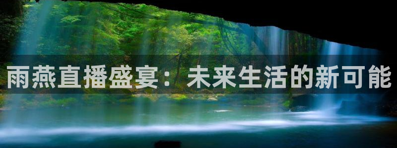 9255tv直播nba在线直播：雨燕直播盛宴：未来生活的新可能