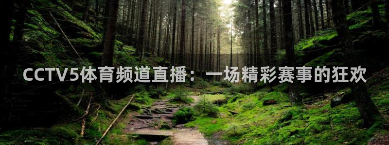 9255tv直播无插件nba：CCTV5体育频道直播：一场精彩赛事的狂欢