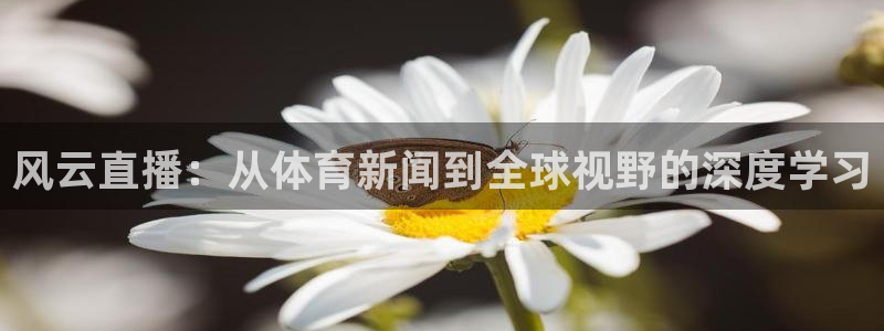 9255tv直播nba在线观看：风云直播：从体育新闻到全球视野的深度学习