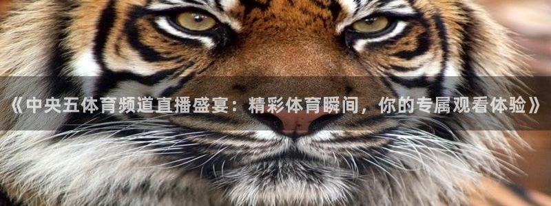 9255tv直播nba在线观看：《中央五体育频道直播盛宴：精彩体育瞬间，你的专属观看体验》